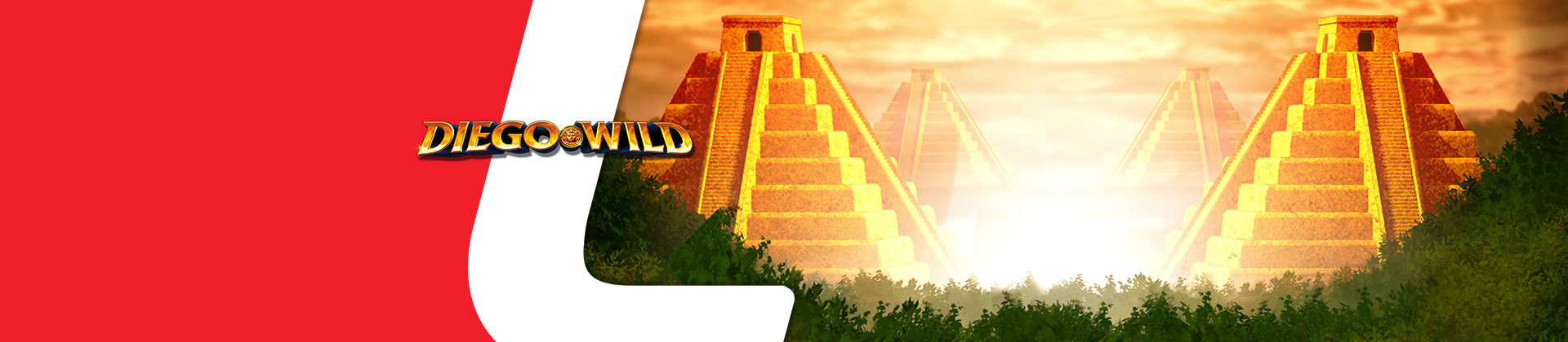 Diego Wild Slot Game - -