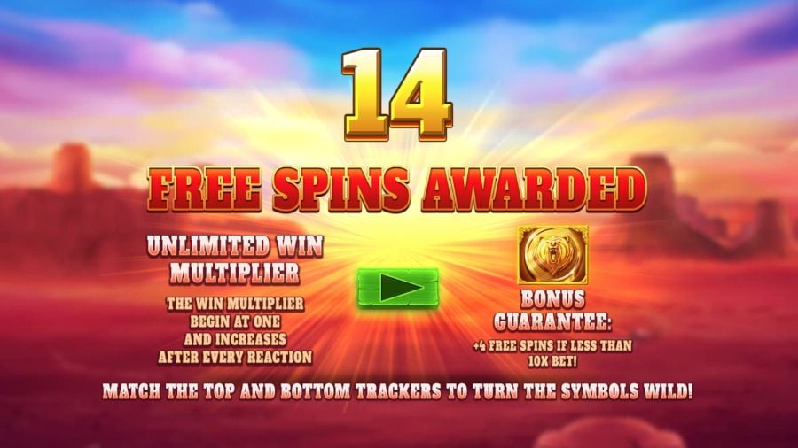 Into The Wild Megaways Free Spins Triggered - -