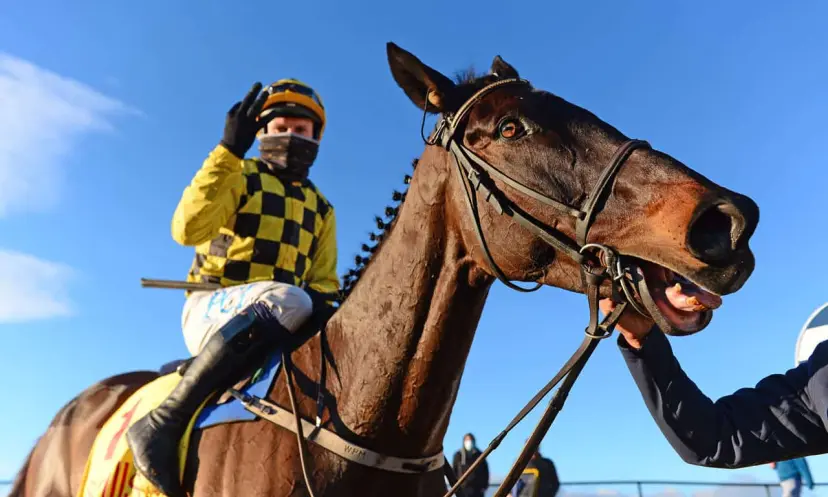 Al Boum Photo, Paul Townend