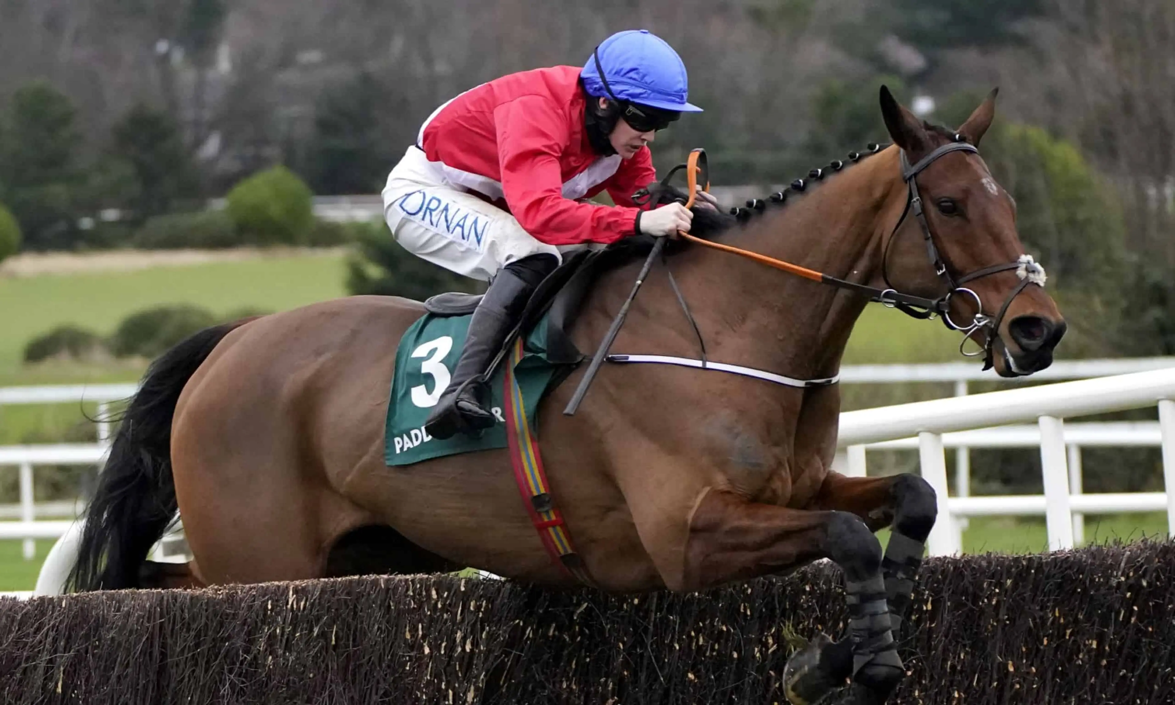 Envoi Allen, Rachael Blackmore, Cheltenham Festival