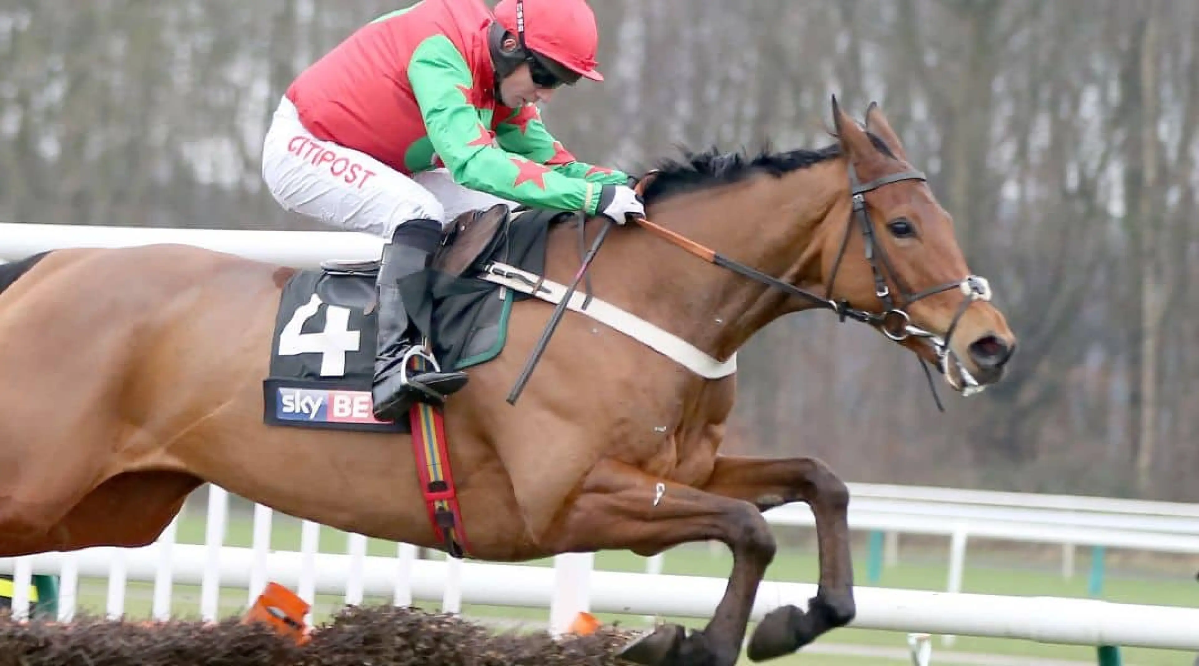 Neon Wolf - Ladbrokes - Cheltenham Festival