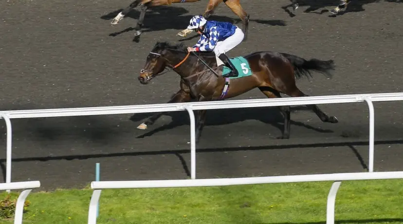 Blakeney Point - Chester Cup odds