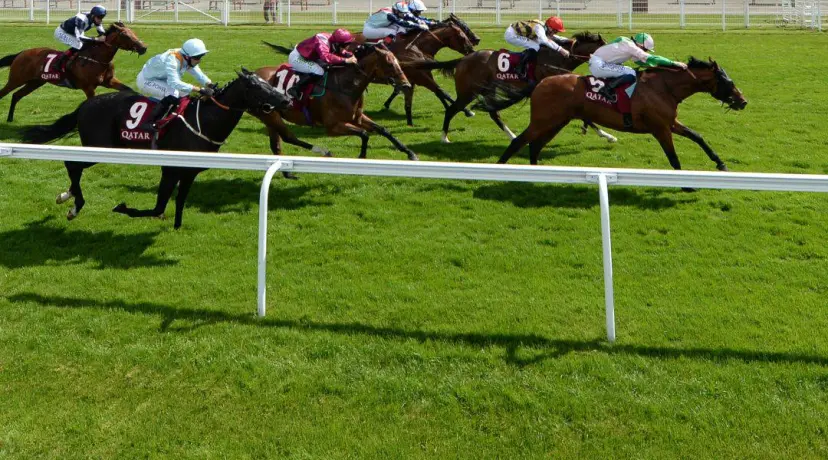 Goodwood
