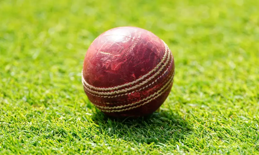 cricket