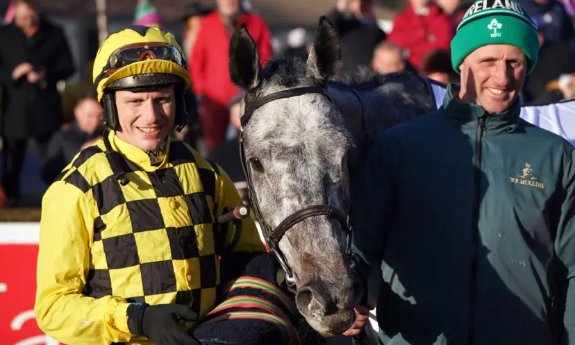 Gaillard Du Mesnil, Paul Townend, Leopardstown