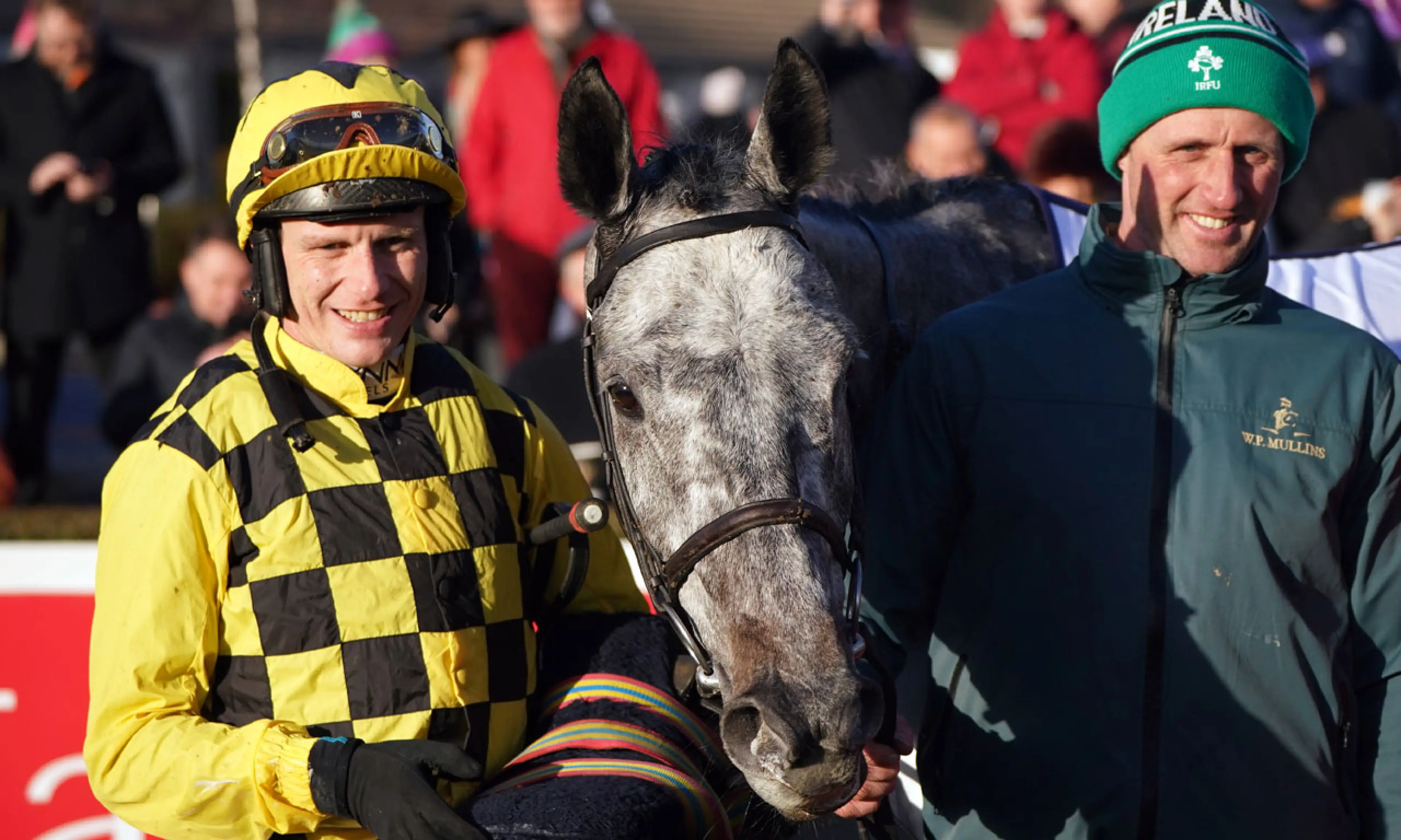 Gaillard Du Mesnil, Paul Townend, Leopardstown