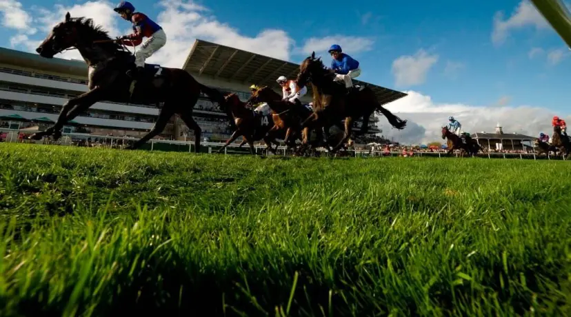 Doncaster Racing