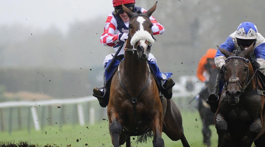 Neil Mulholland hoping for a dry build-up to the Cheltenham Festival