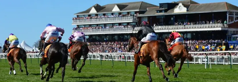 Scottish Grand National Trends 2019