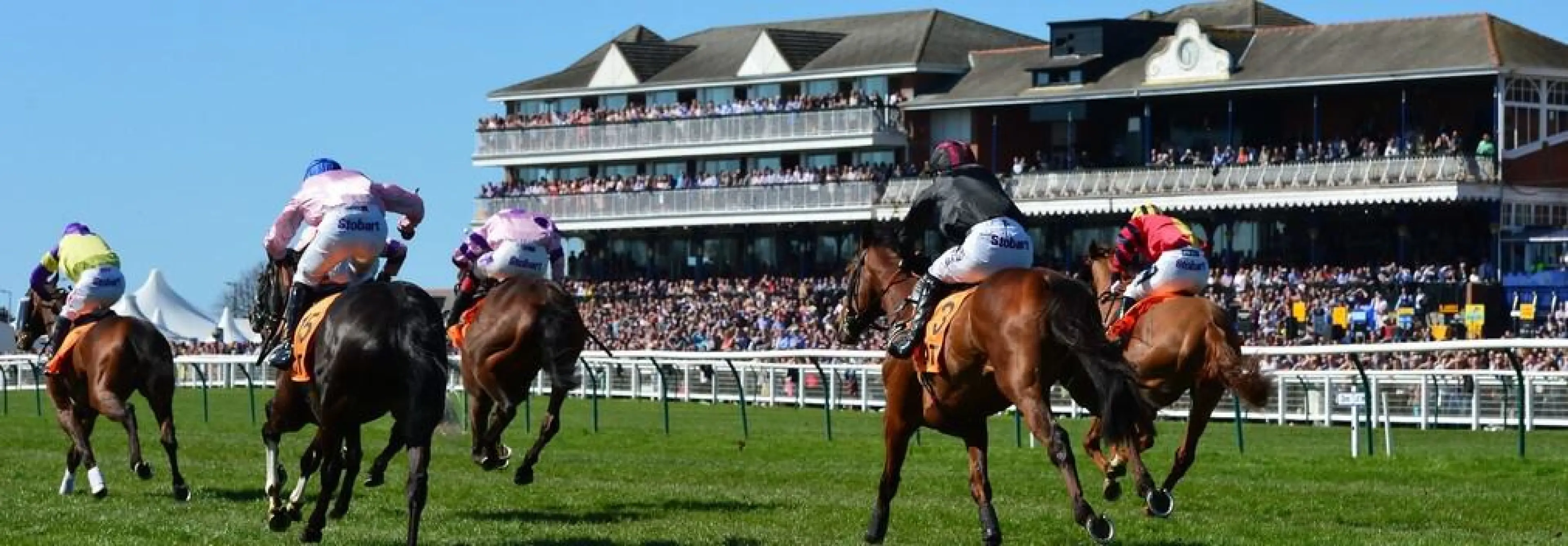 Scottish Grand National Trends 2019