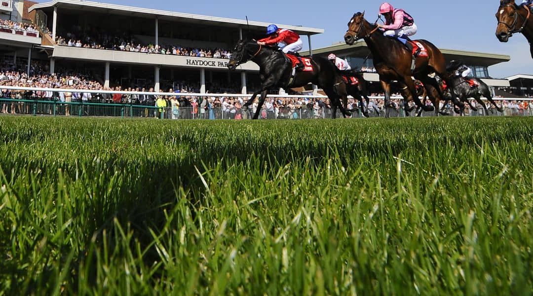 Kingsgate Native top value to strike in his favourite race at Haydock