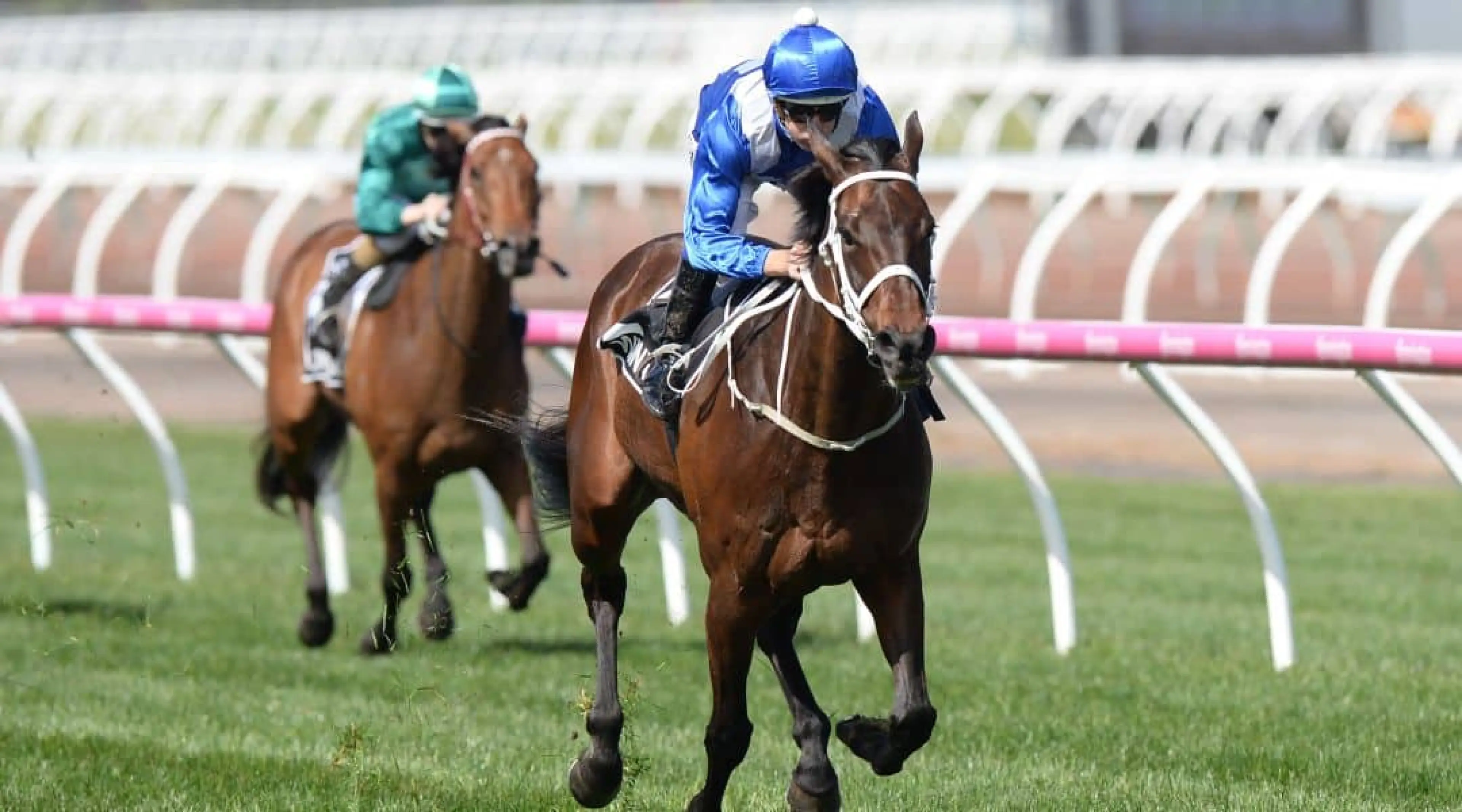 Winx Horse Racing odds