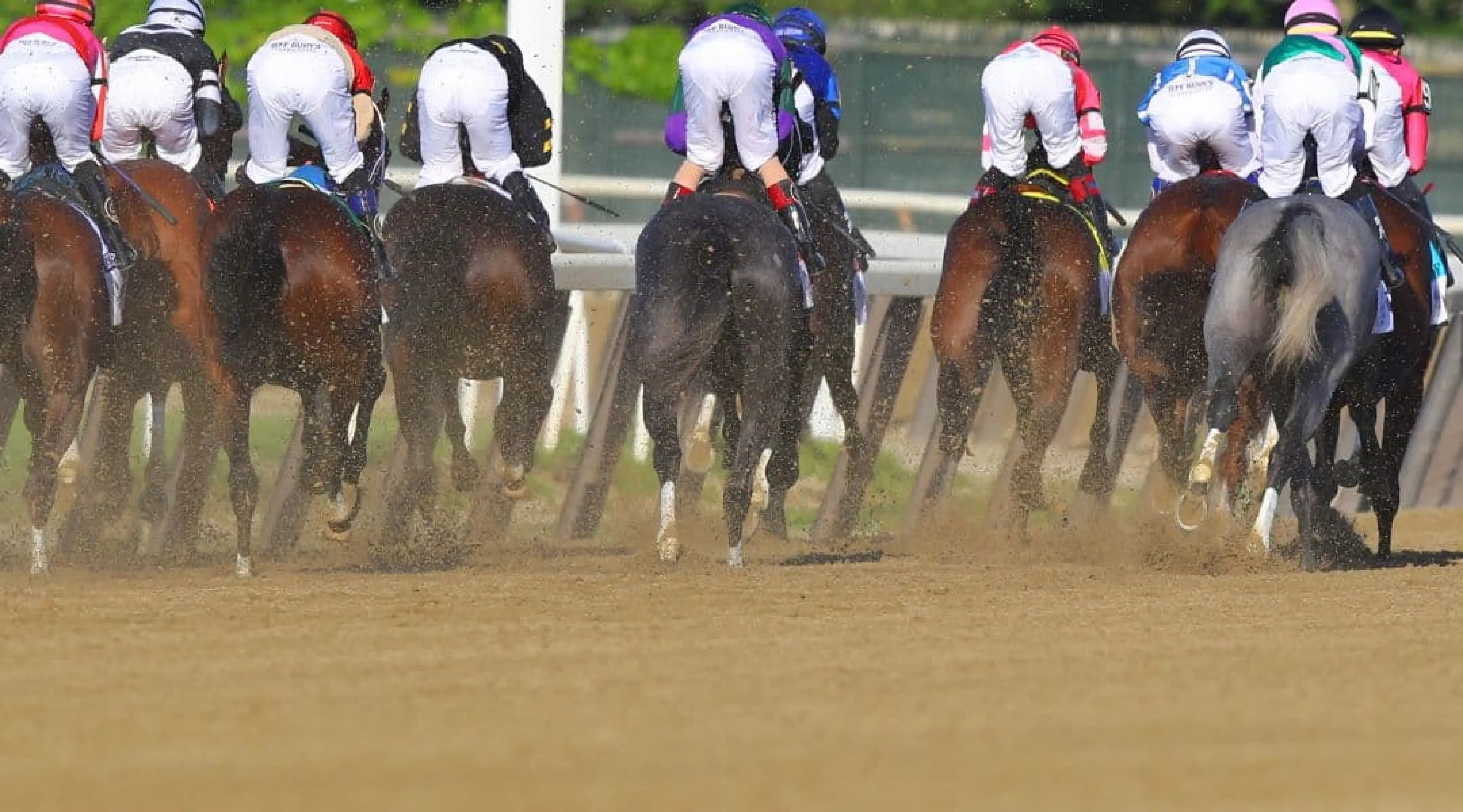 Horse Racing, Dirt