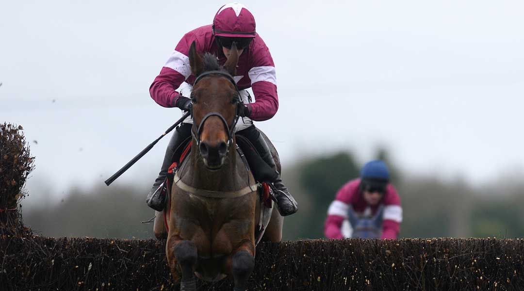 Cheltenham preview night reports: London Racing Club