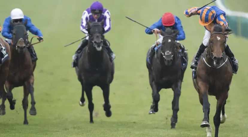 2000 Guineas winner - odds