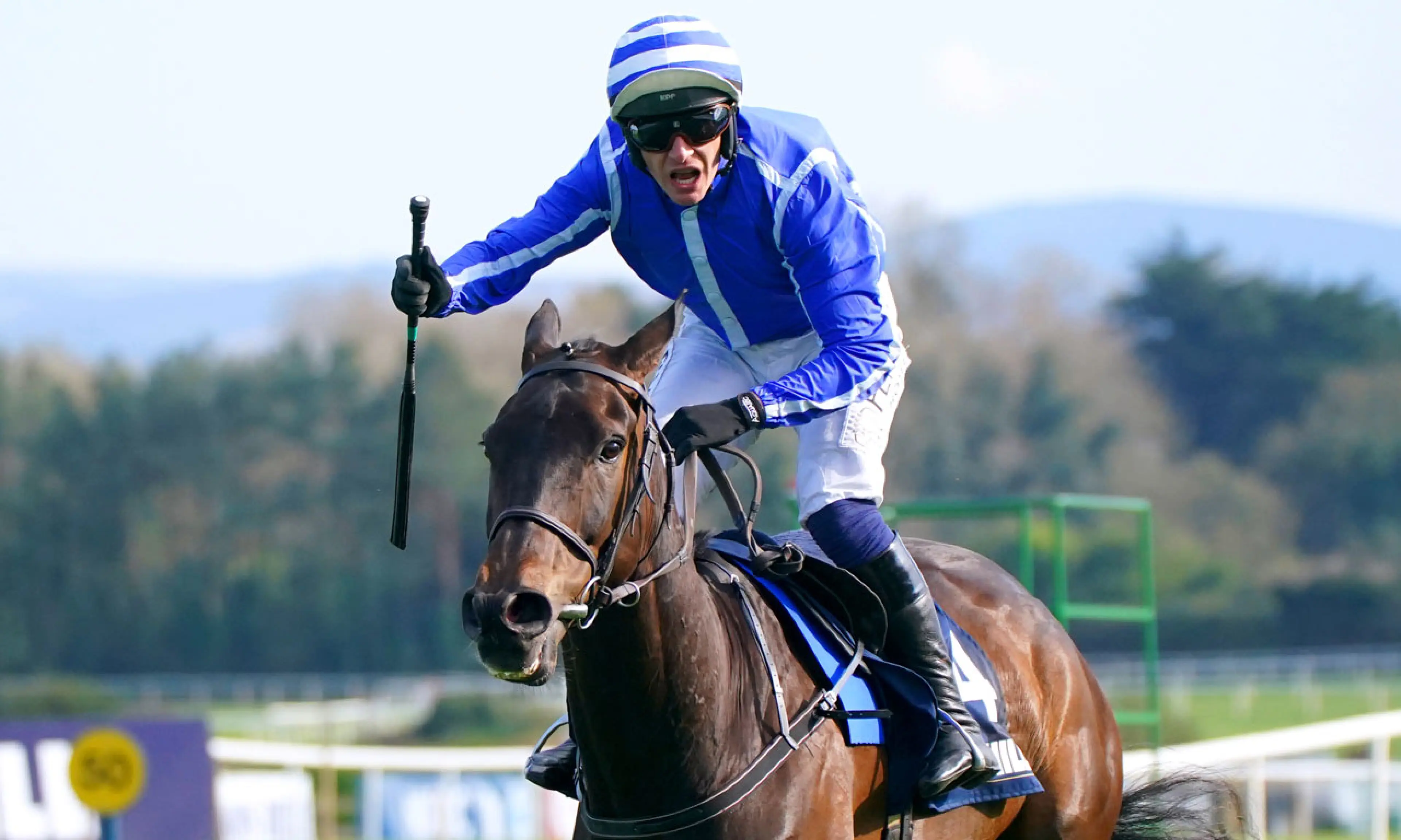 Energumene, Paul Townend