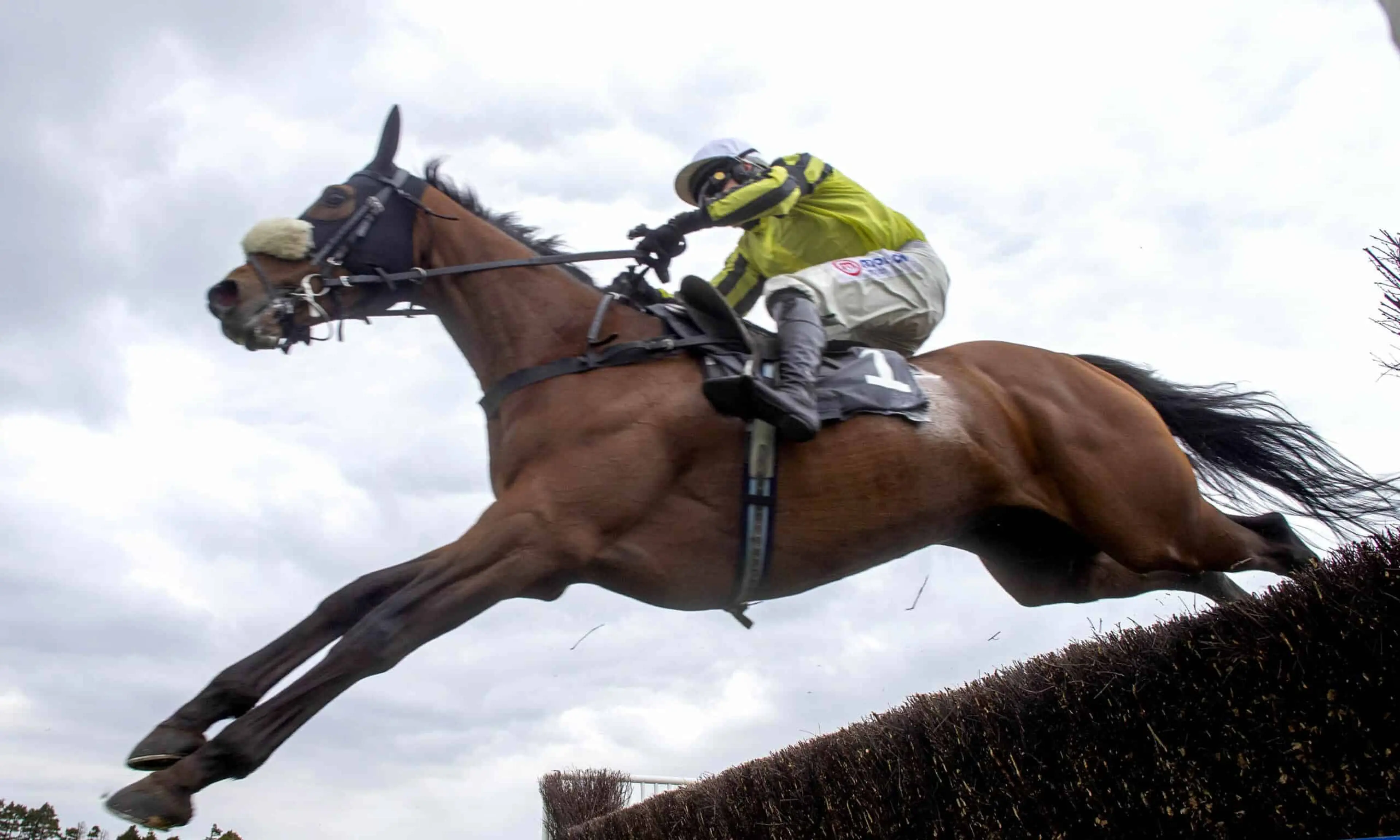 Allmankind, Dan Skelton