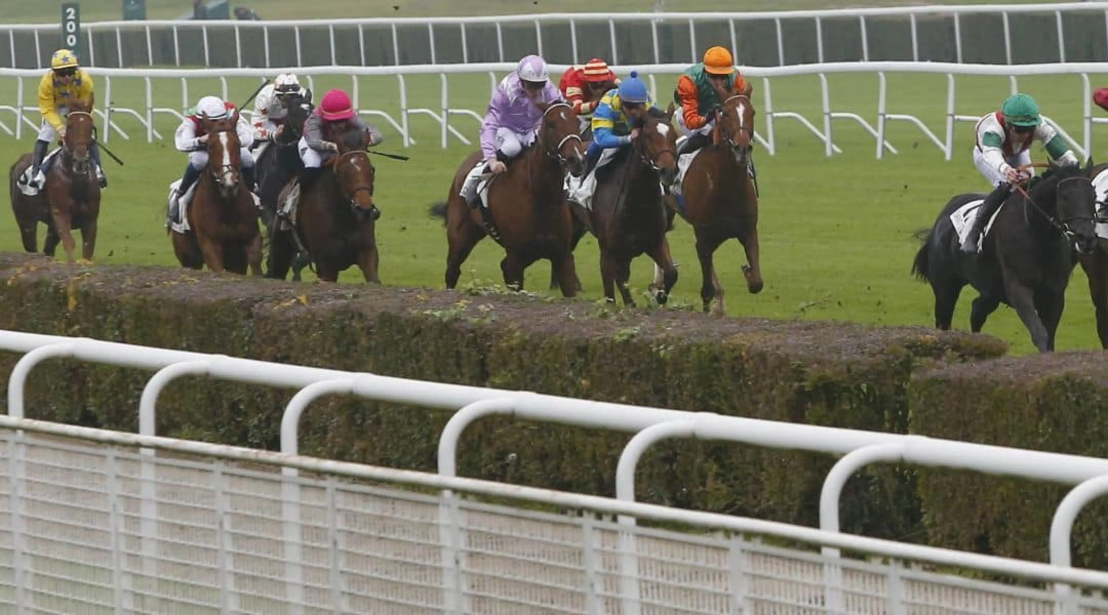 Horse Racing Saint-Cloud