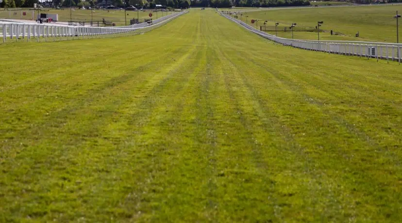 Epsom Derby