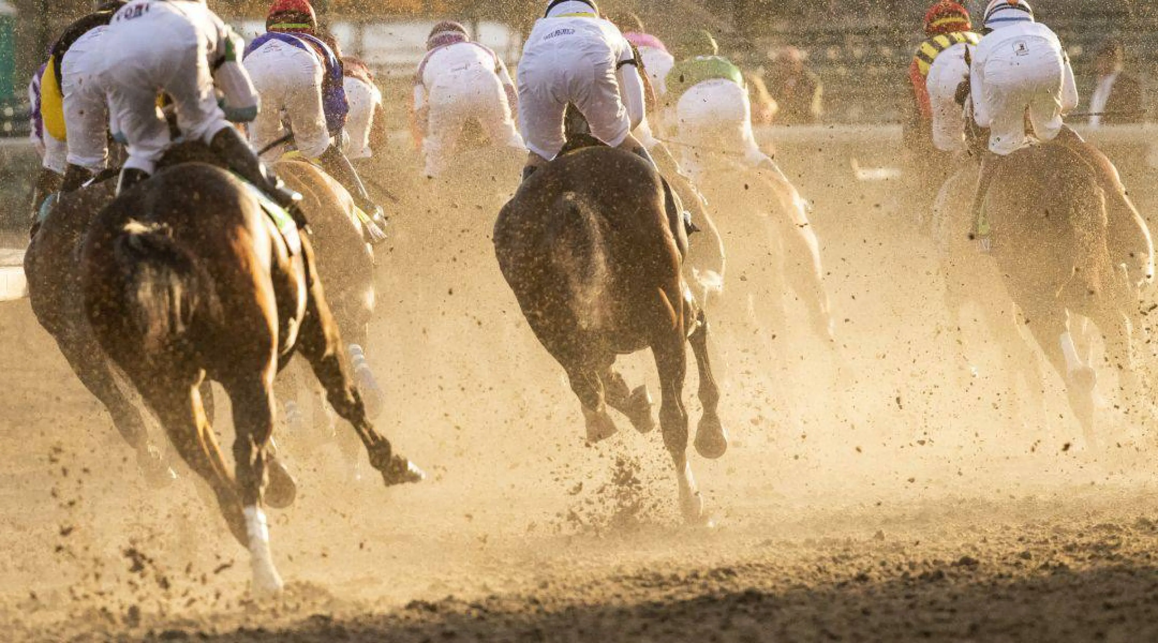 Breeders' Cup, Dirt Racing