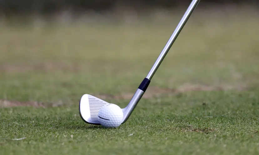 Rory McIlroy, golf iron ,Hoylake 2023