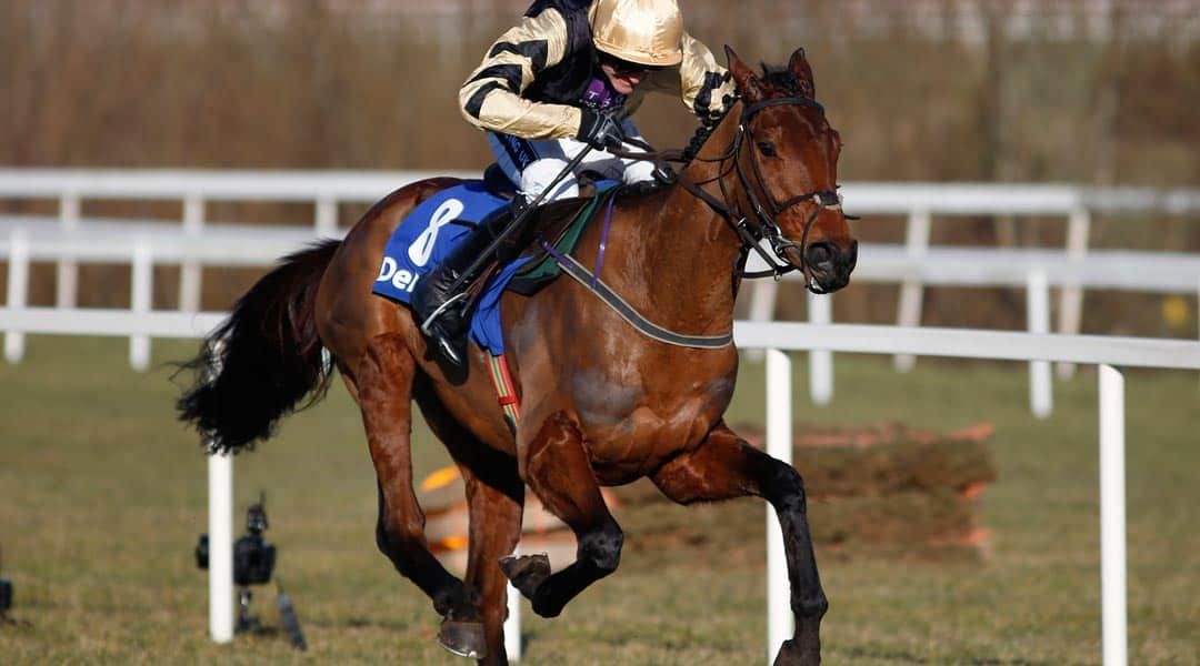Champion Hurdle preview: Nichols Canyon to set race up for himself