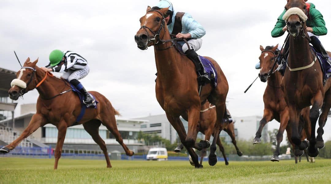 Irish Oaks Tips: Our runner-by-runner guide to the Curragh classic