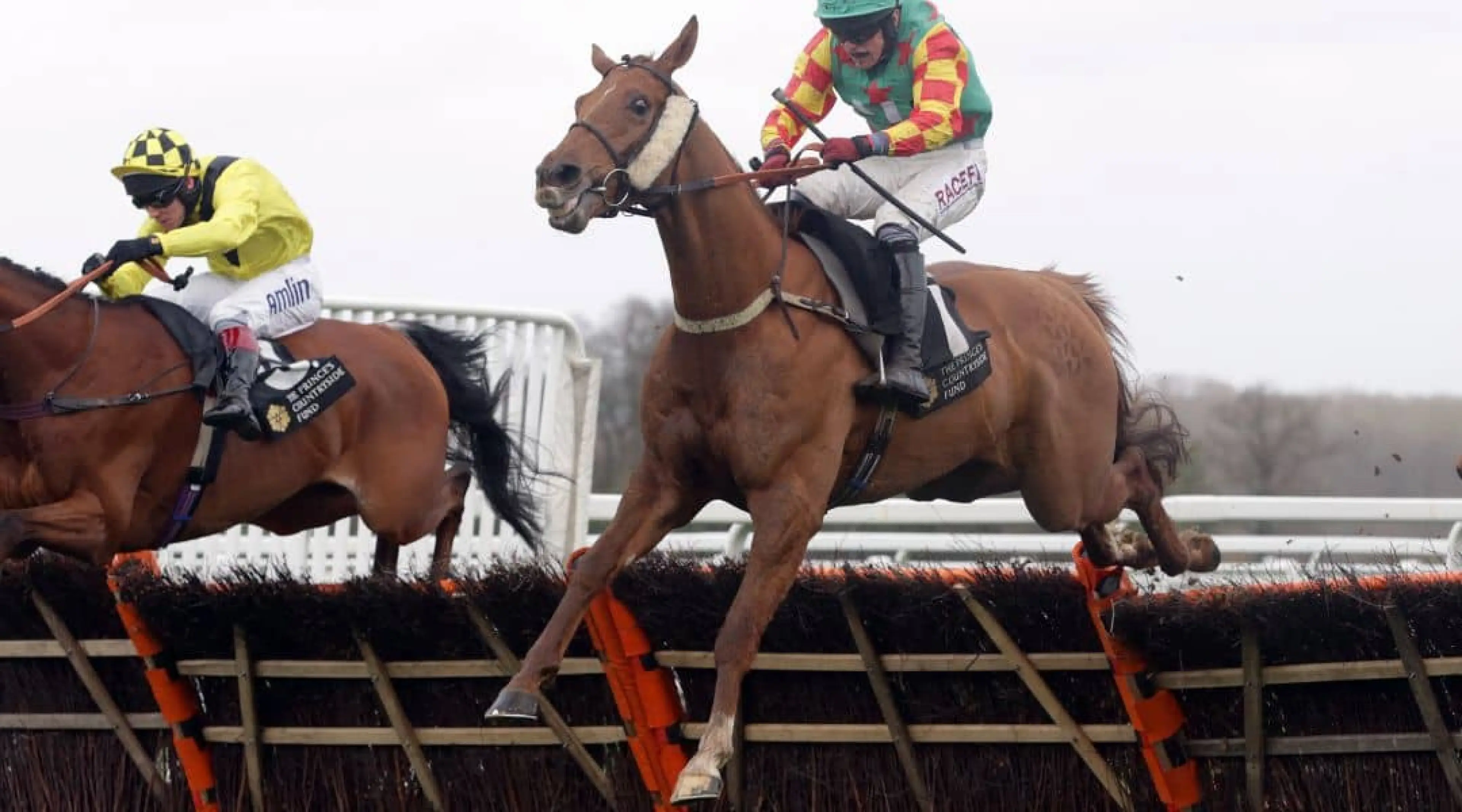 Sir Ap Mccoy Criticises Sandown Ground Causing Multiple Horse Withdrawals