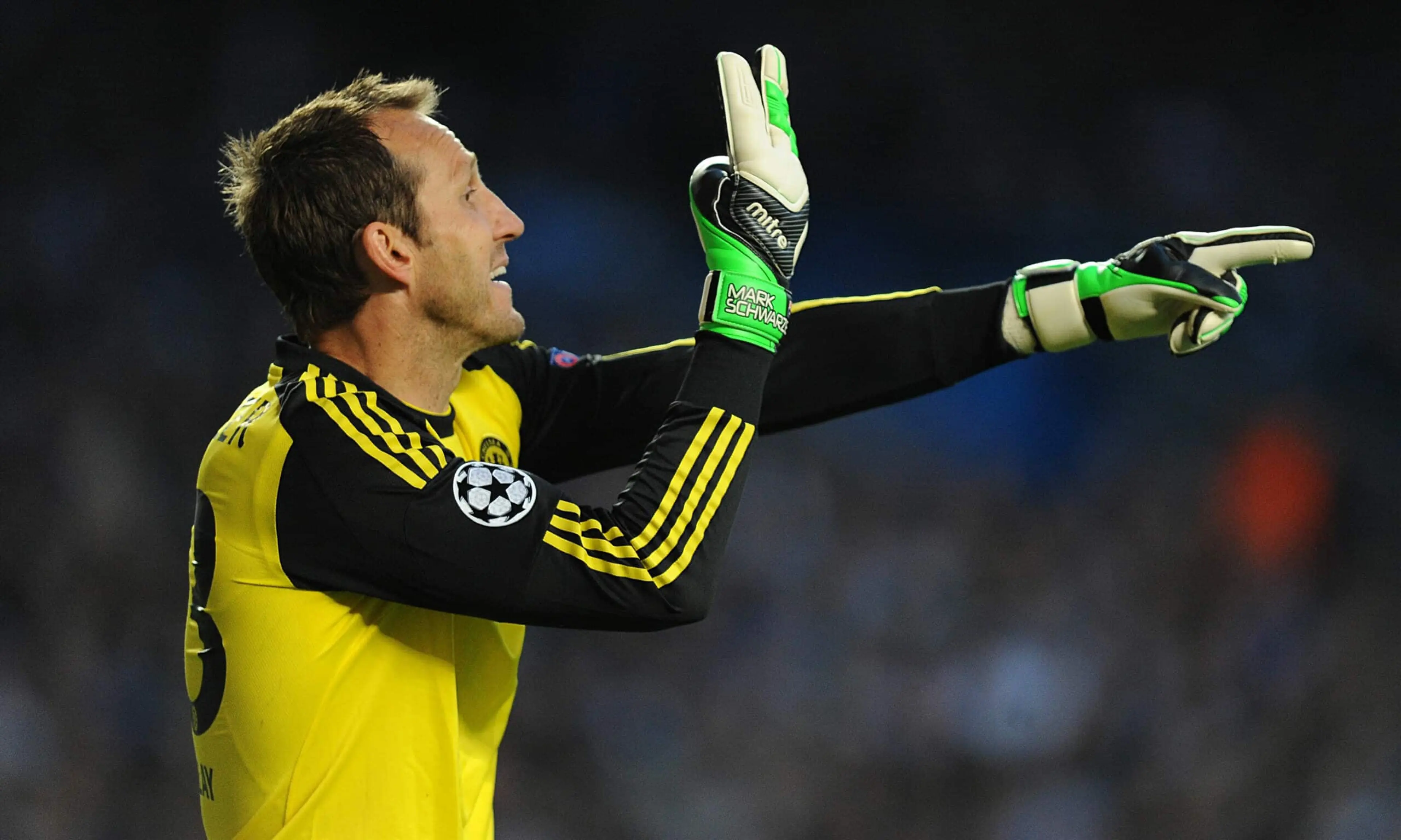 Mark Schwarzer, Chelsea