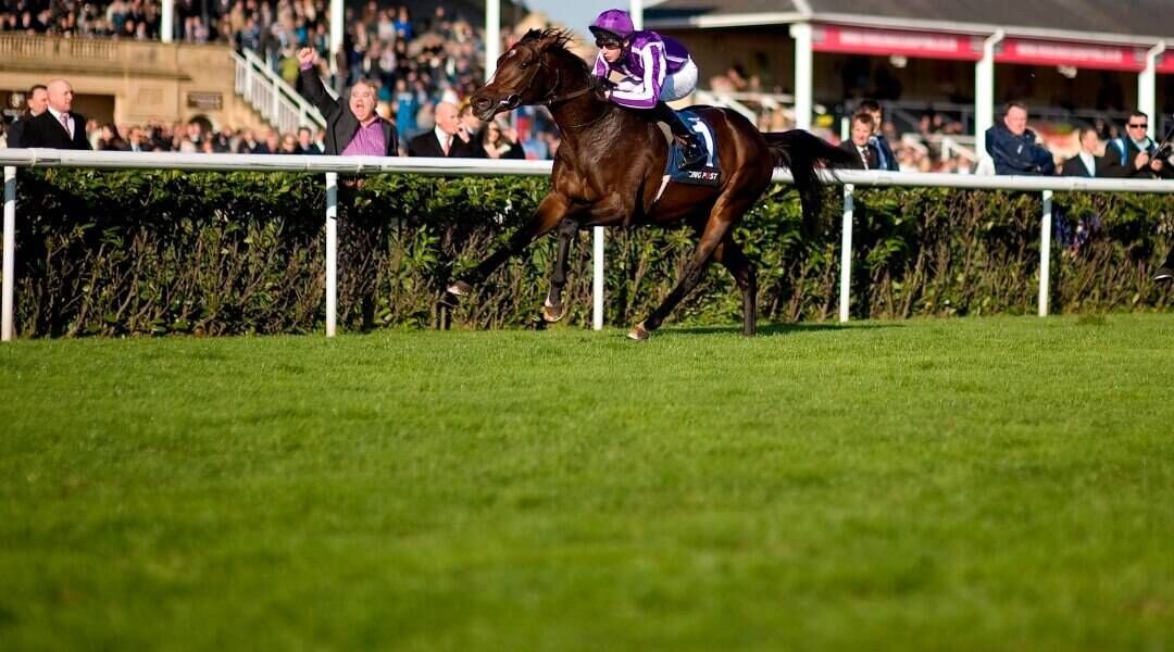 Racing Post Trophy: Camelot heads 5 of the best past winners