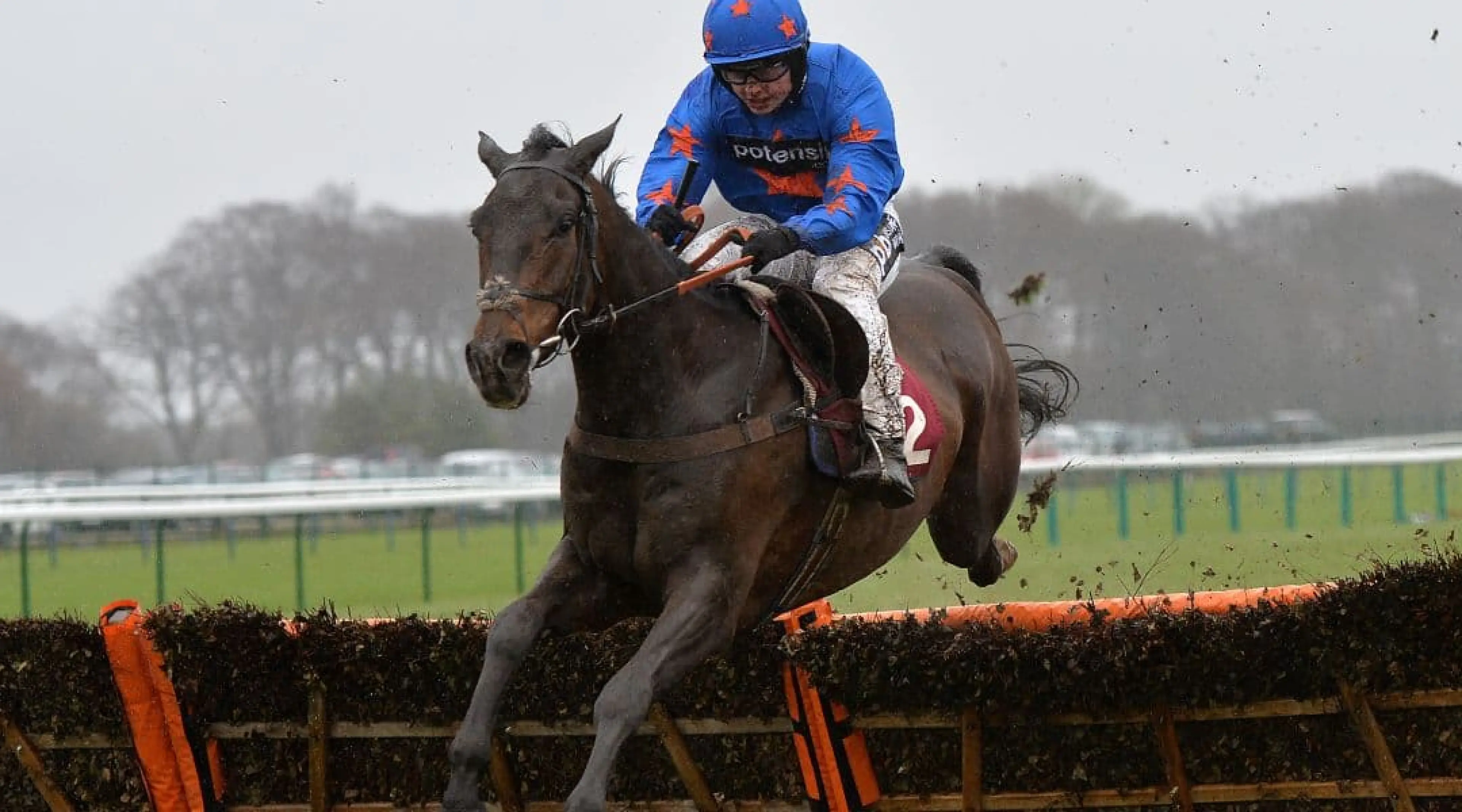 Frodon