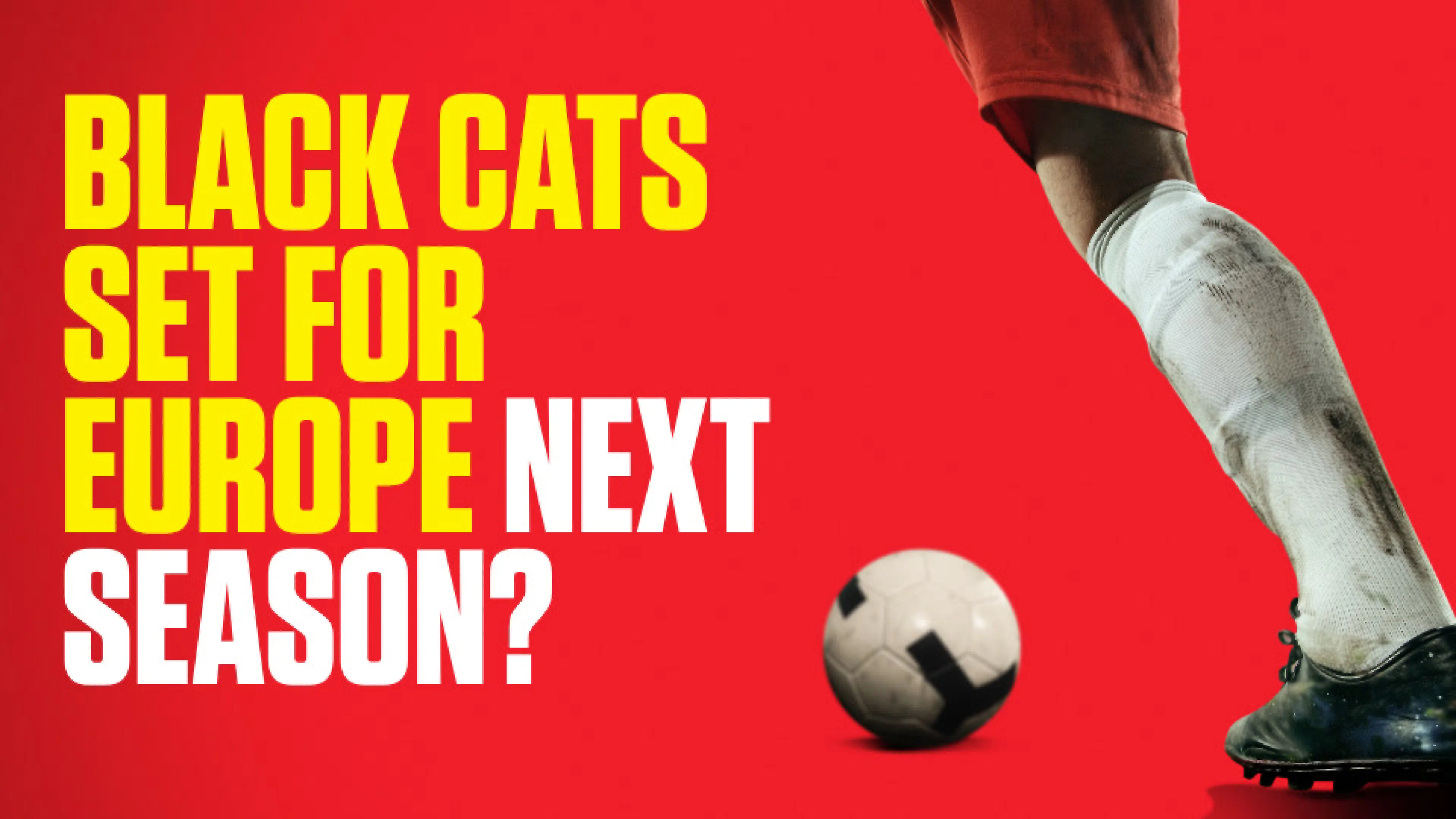 OnS SEO Sports 960x540 BLACK CATS SET FOR EUROPE NEXT SEASON (UK)