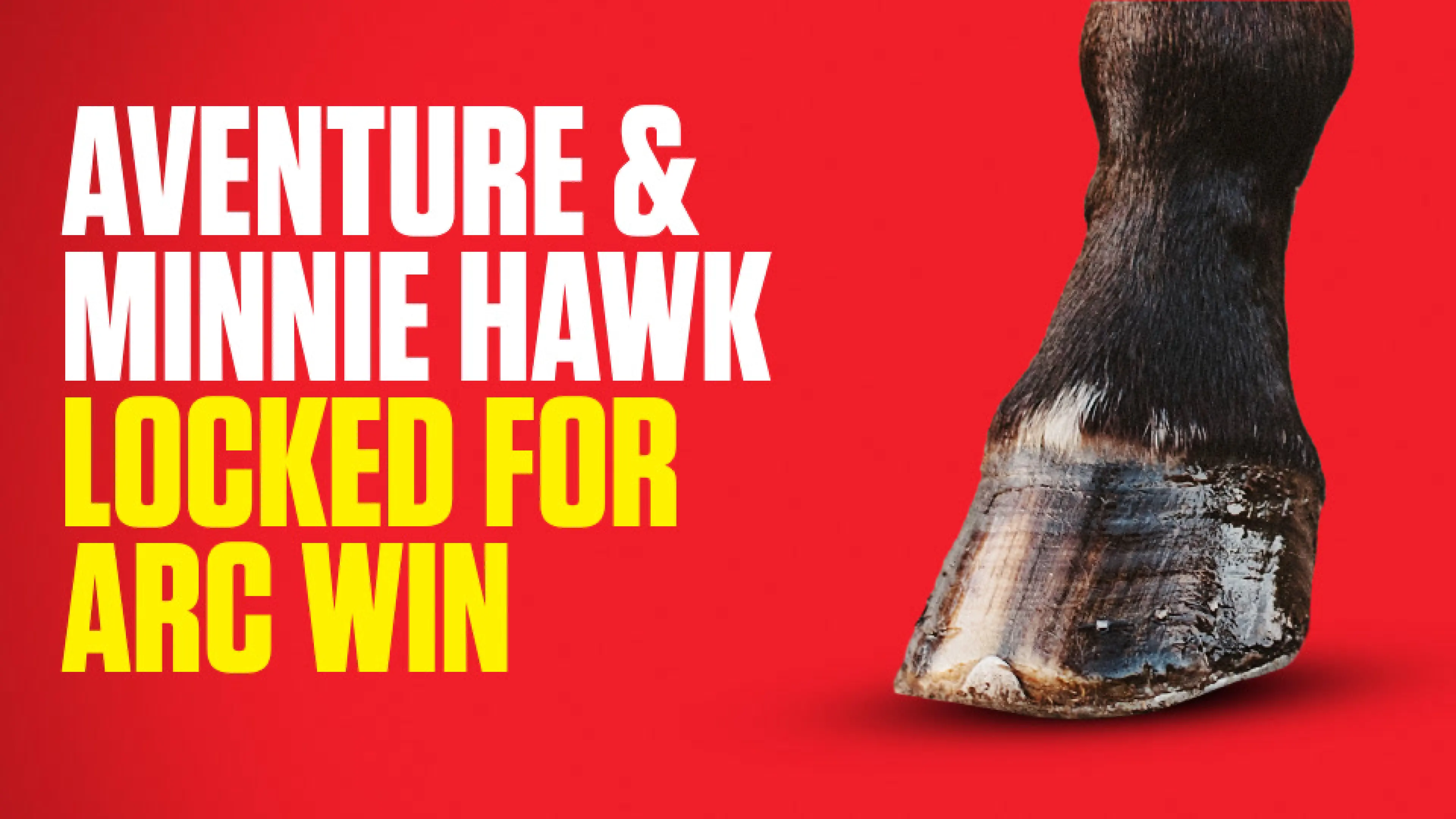 OnS SEO Sports 960x540 AVENTURE MINNIE HAWK LOCKED FOR ARC WIN (UK) 