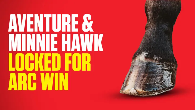 OnS SEO Sports 960x540 AVENTURE MINNIE HAWK LOCKED FOR ARC WIN (UK) 