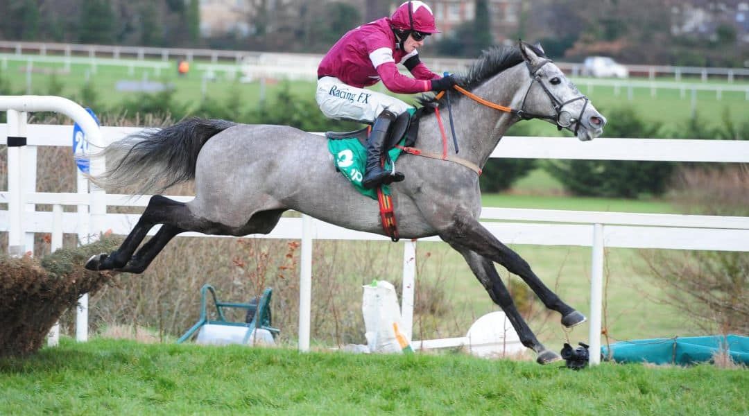 Friday’s Race of the Day: 13:30 Grimes Hurdle at Tipperary