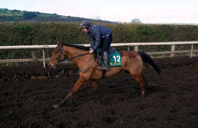BALLYBURN cheltenham festival
