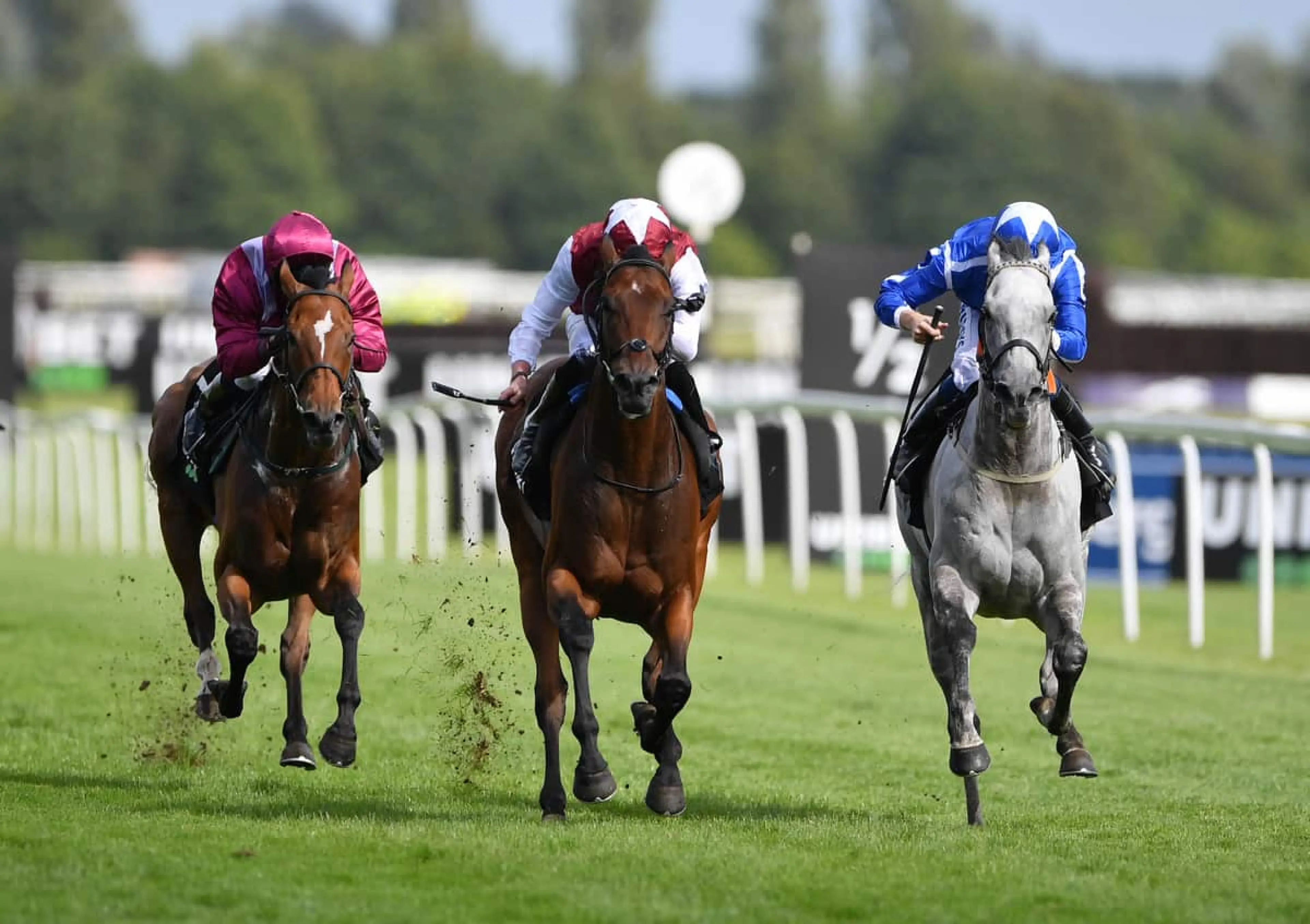Glorious Journey horse