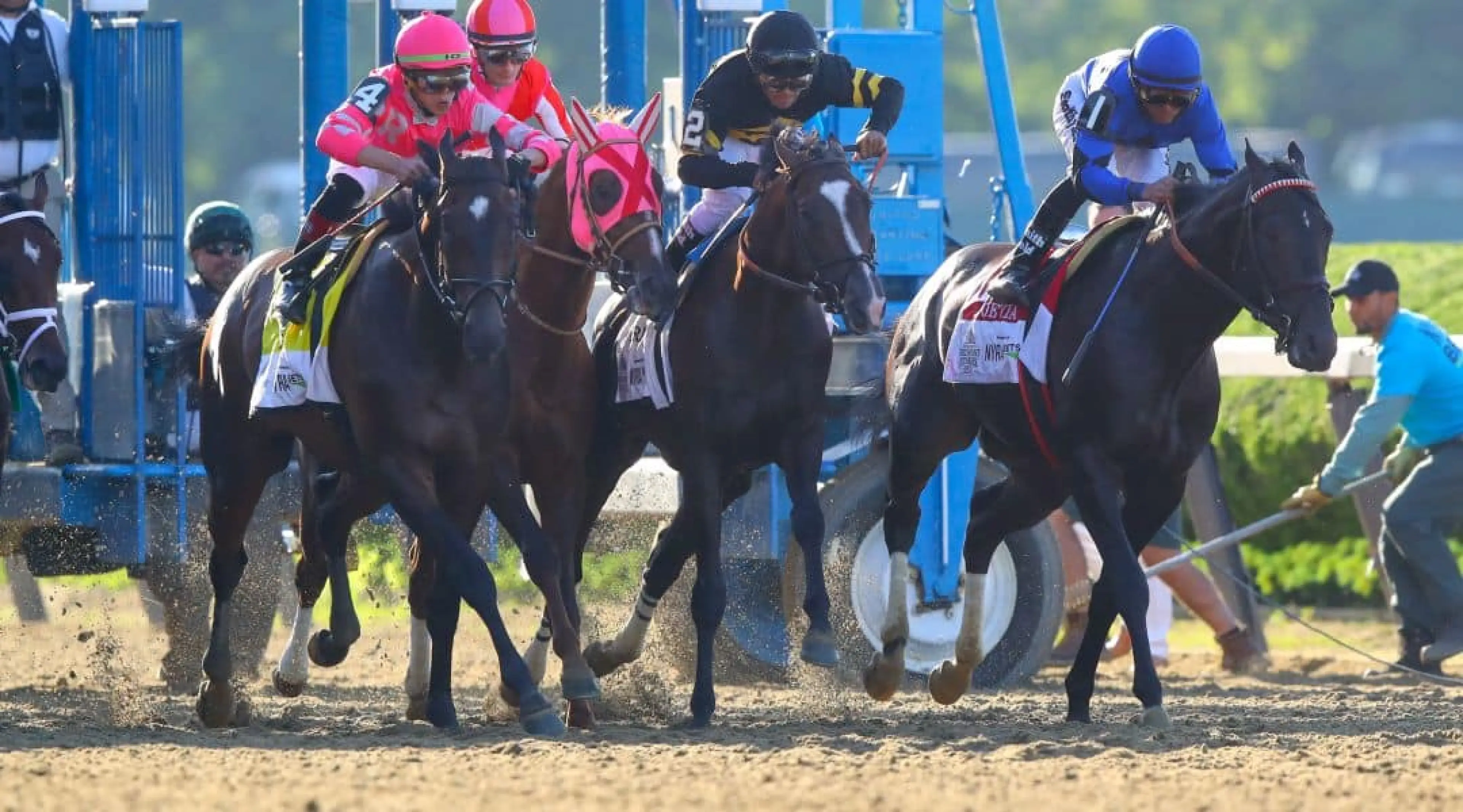 Horse Racing, Belmont Stakes