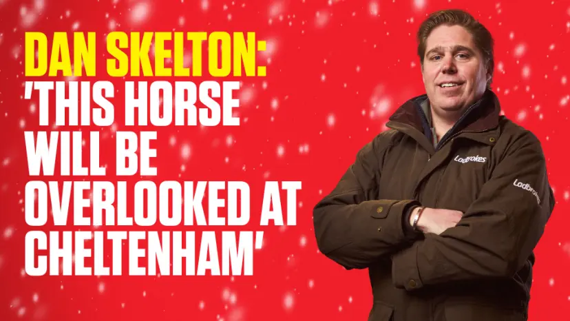 OnS SEO Sports 960x540 DAN SKELTON THIS HORSE WILL BE OVERLOOKED AT CHELTENHAM (UK)  (1)