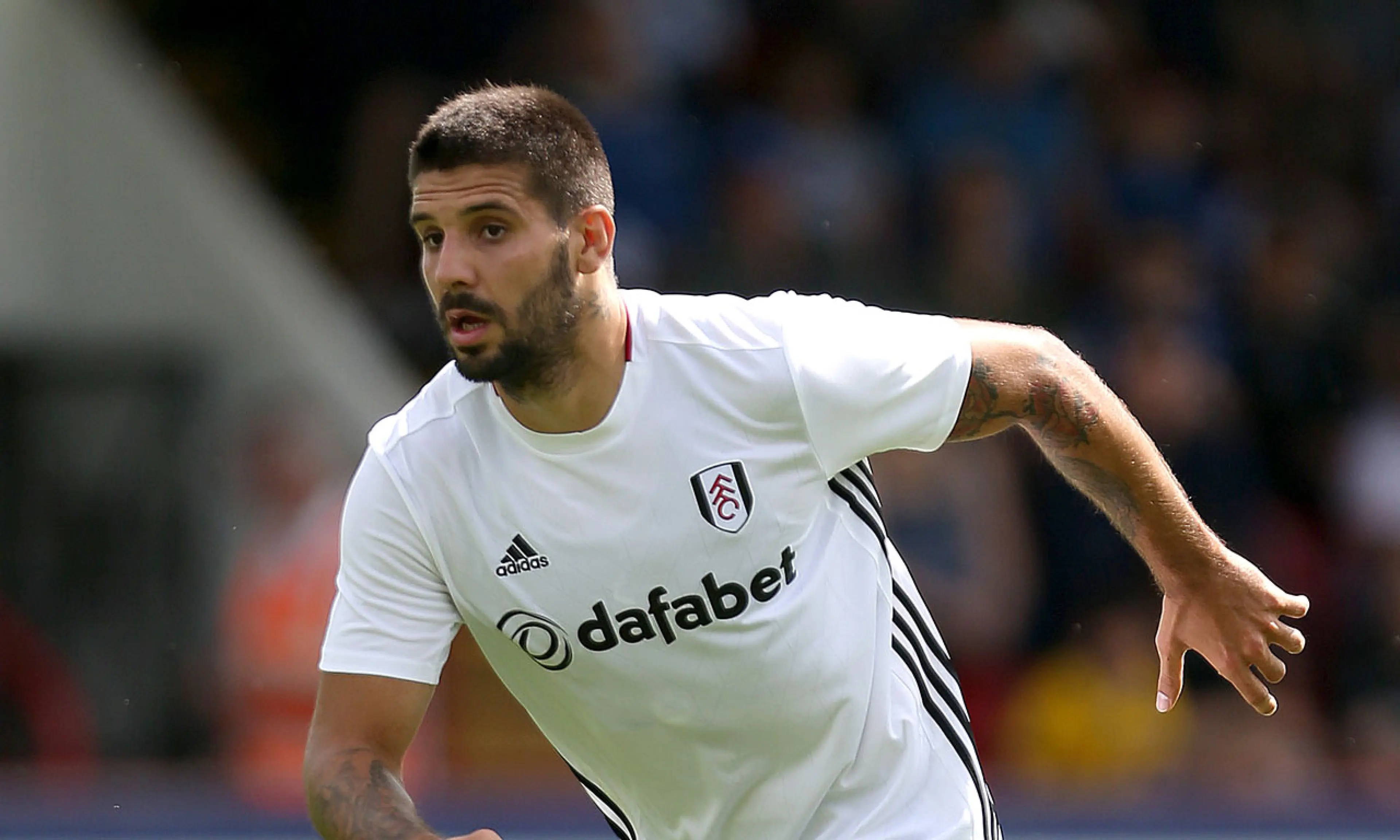 Aleksandar Mitrovic, Fulham