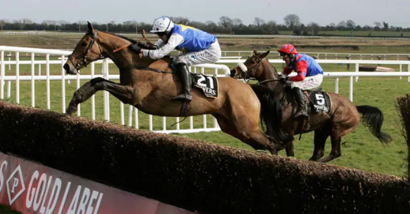 Grand National 2024