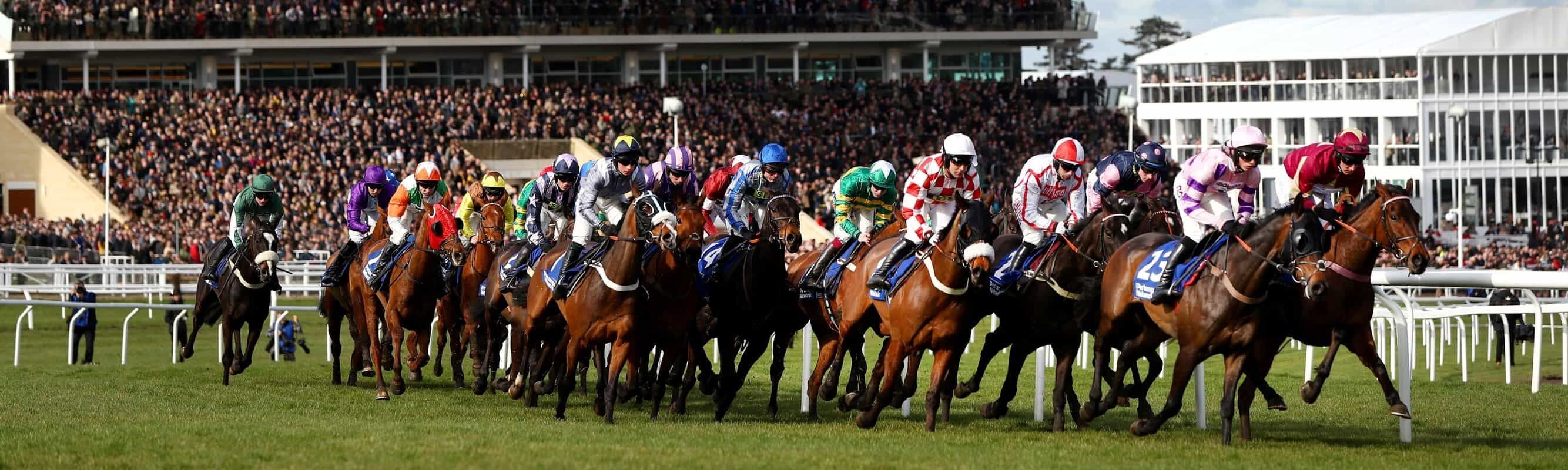 Key questions ahead of three big races at the Cheltenham Festival