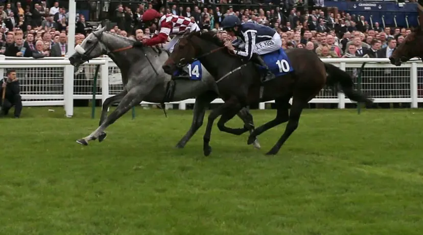 Ayr Racecourse
