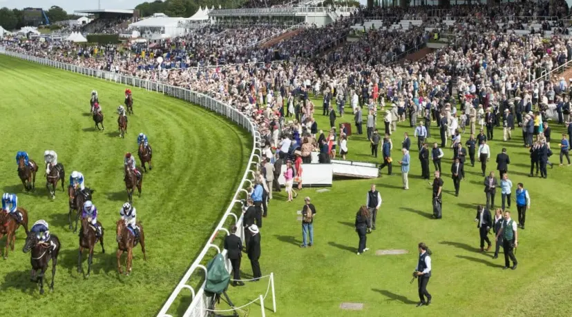 Glorious Goodwood