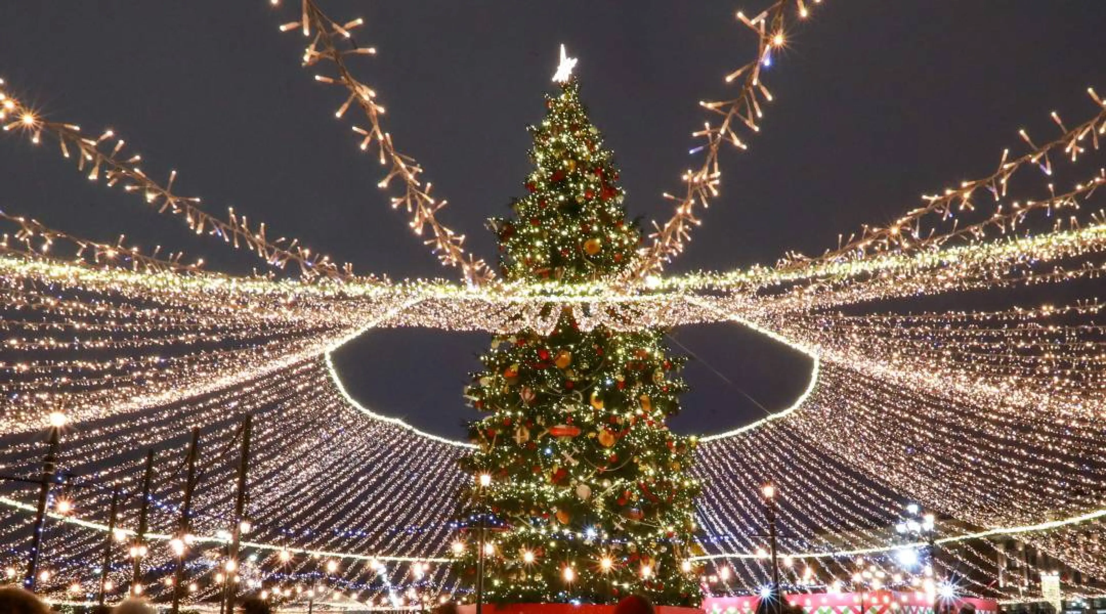 Christmas Tree (1080)