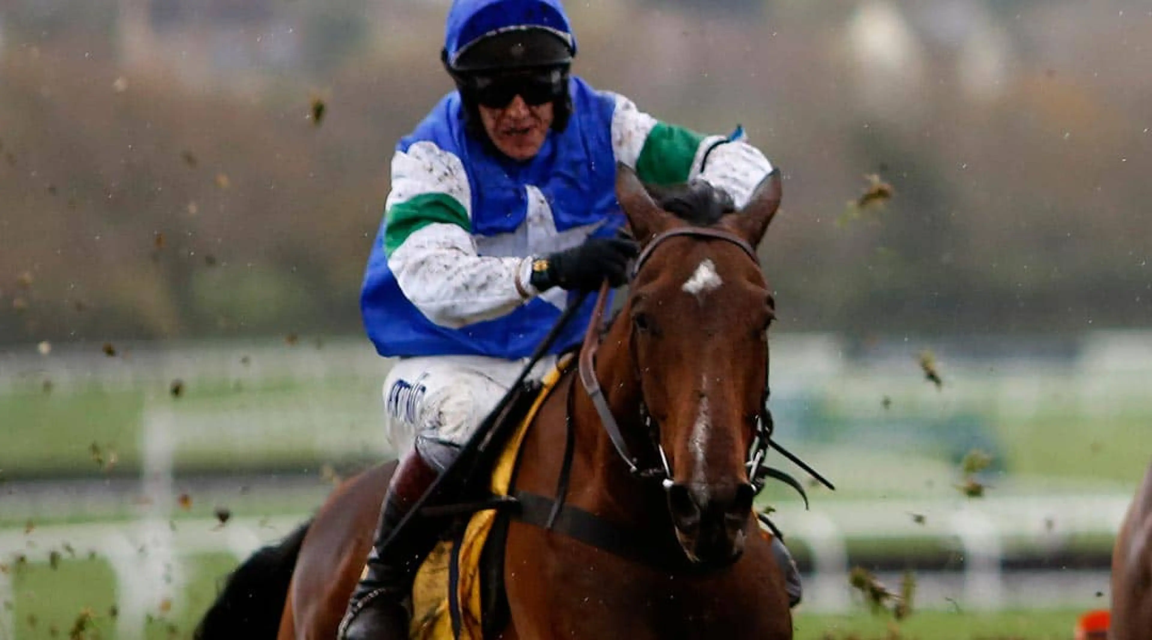Cheltenham Festival under the radar – Coo Star Sivola for Fred Winter