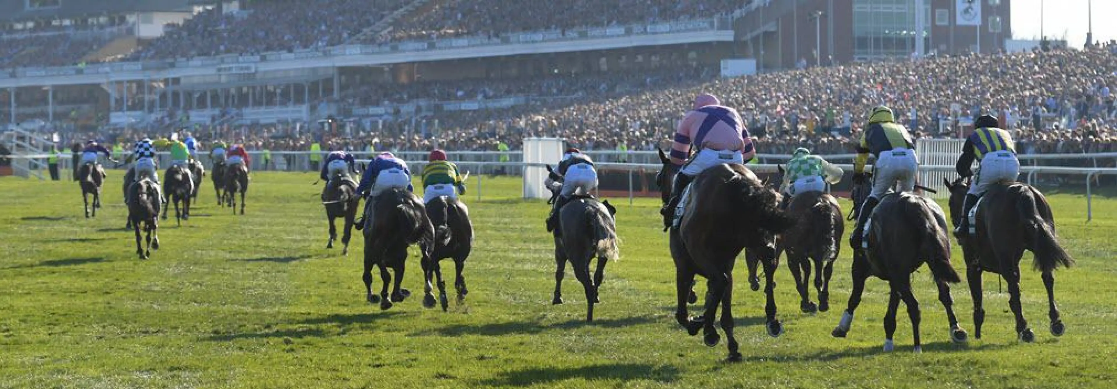 Grand National Runners 2019 List