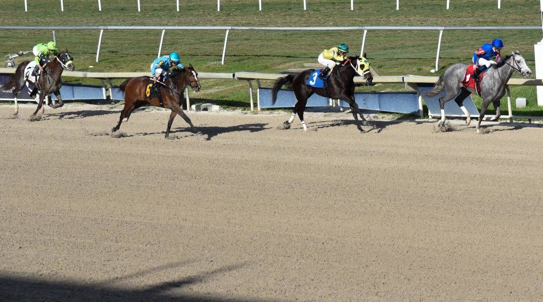 US Racing: Trader’s Florida Derby Preview