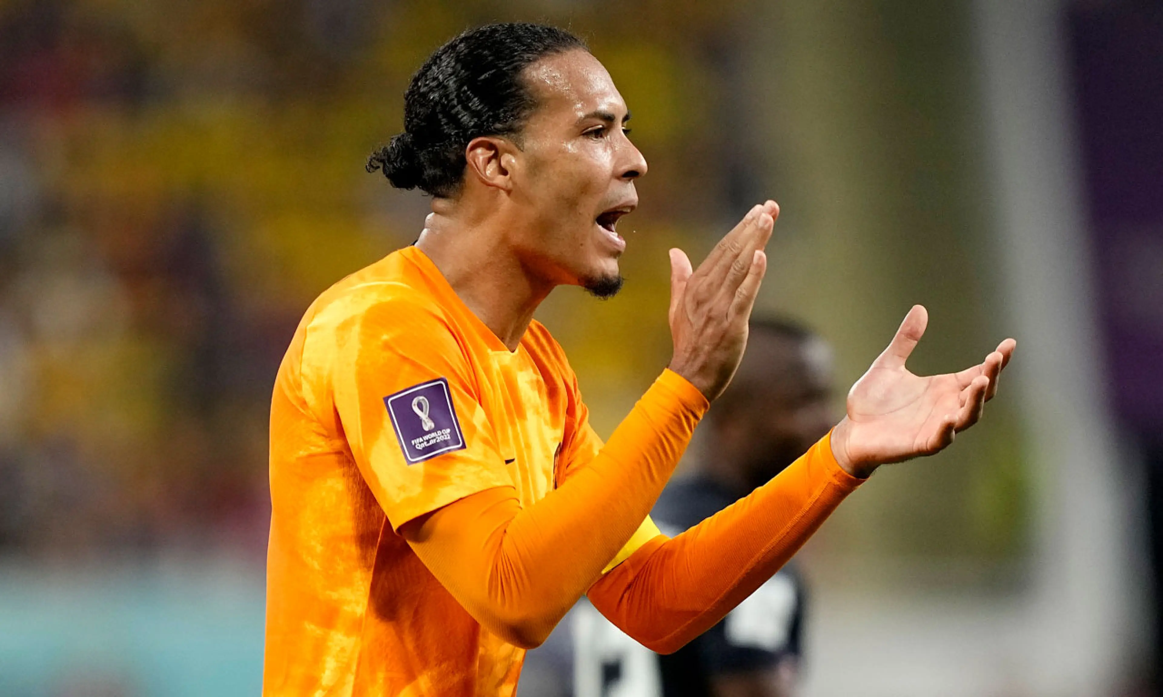 Virgil van Dijk, Netherlands v Ecuador