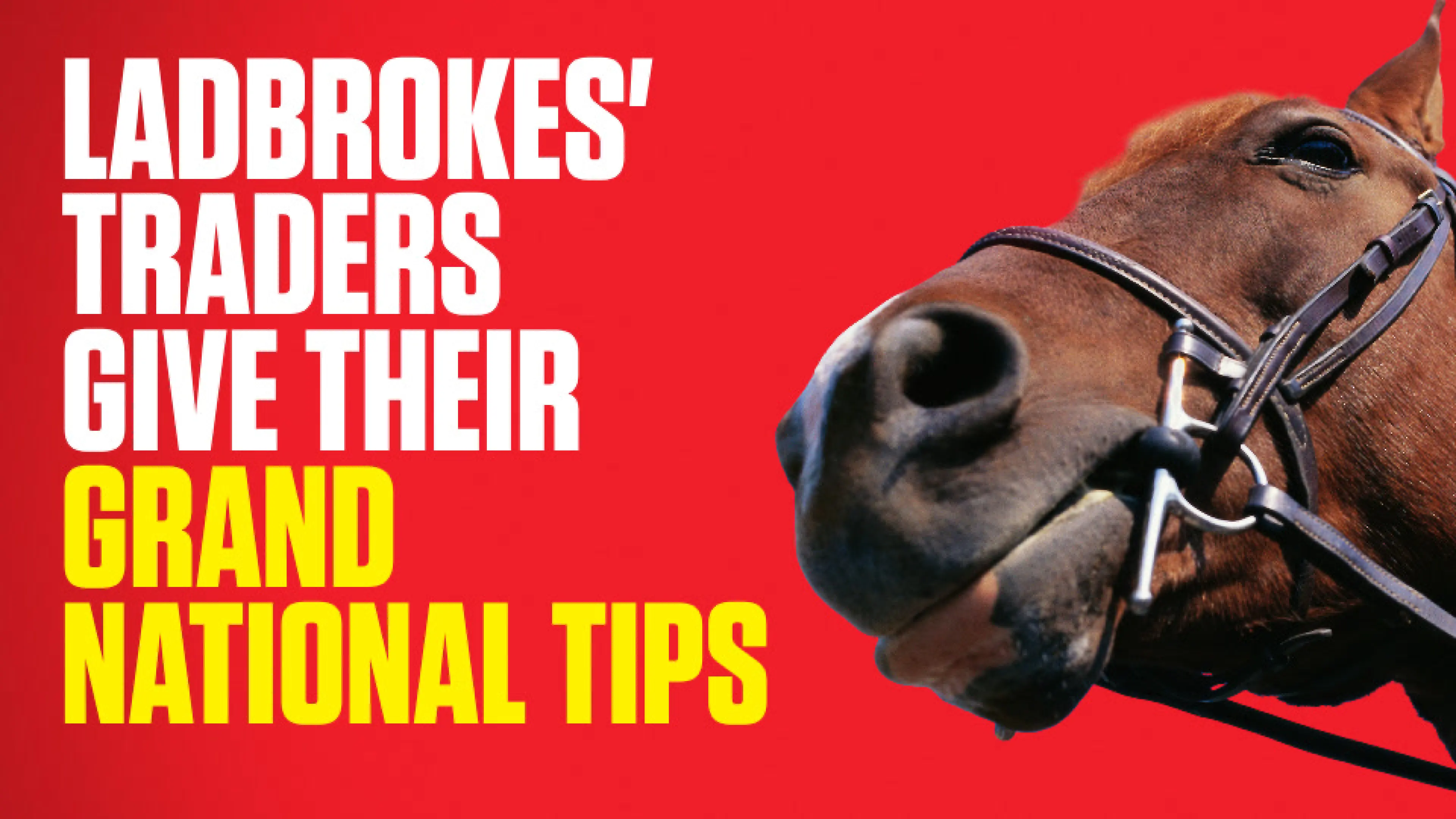 OnS SEO Sports 960x540 LADBROKES TRADERS GIVE THEIR GRAND NATIONAL TIPS (UK) 